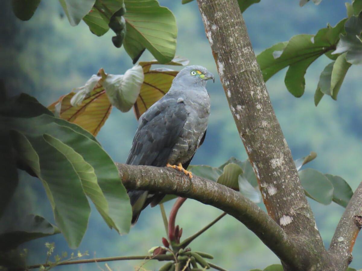 Imagen de WhatsApp 2025-01-29 a las 11.00.45_4bdd4f21