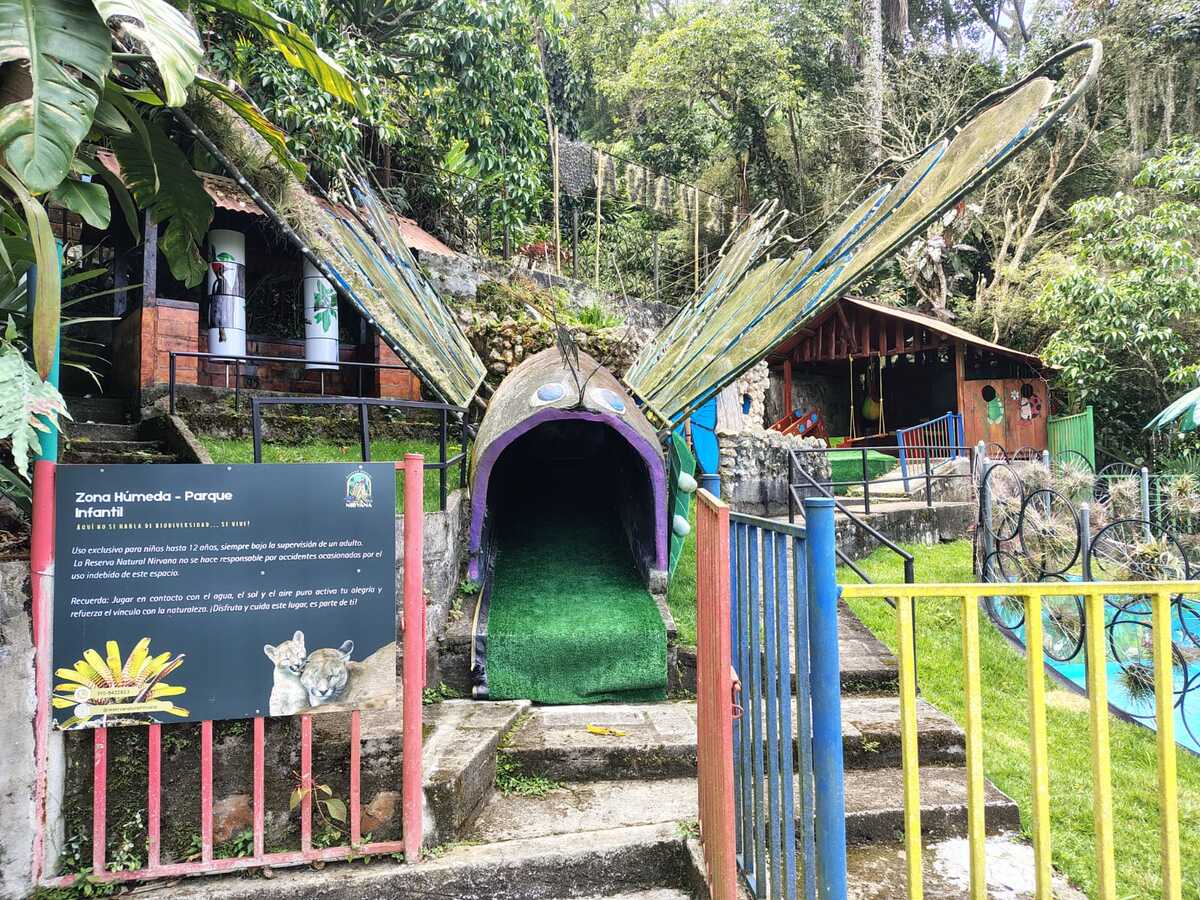 WhatsApp Image 2026-03-31 at 11.54.04 AM